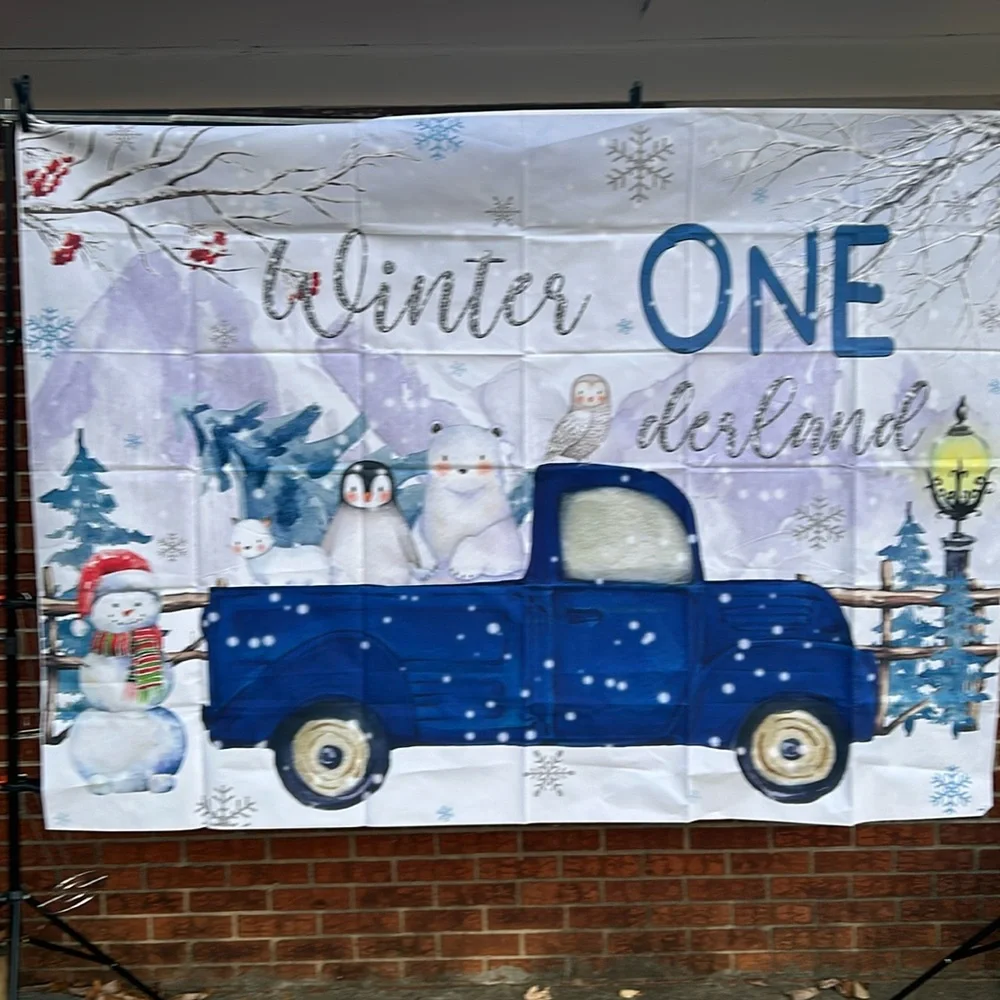 Winter one derland, backdrop, birthday, blue, and white, 5 x 6, New